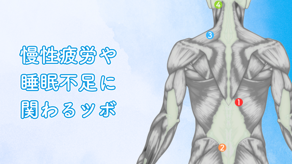 慢性疲労や睡眠不足のツボ